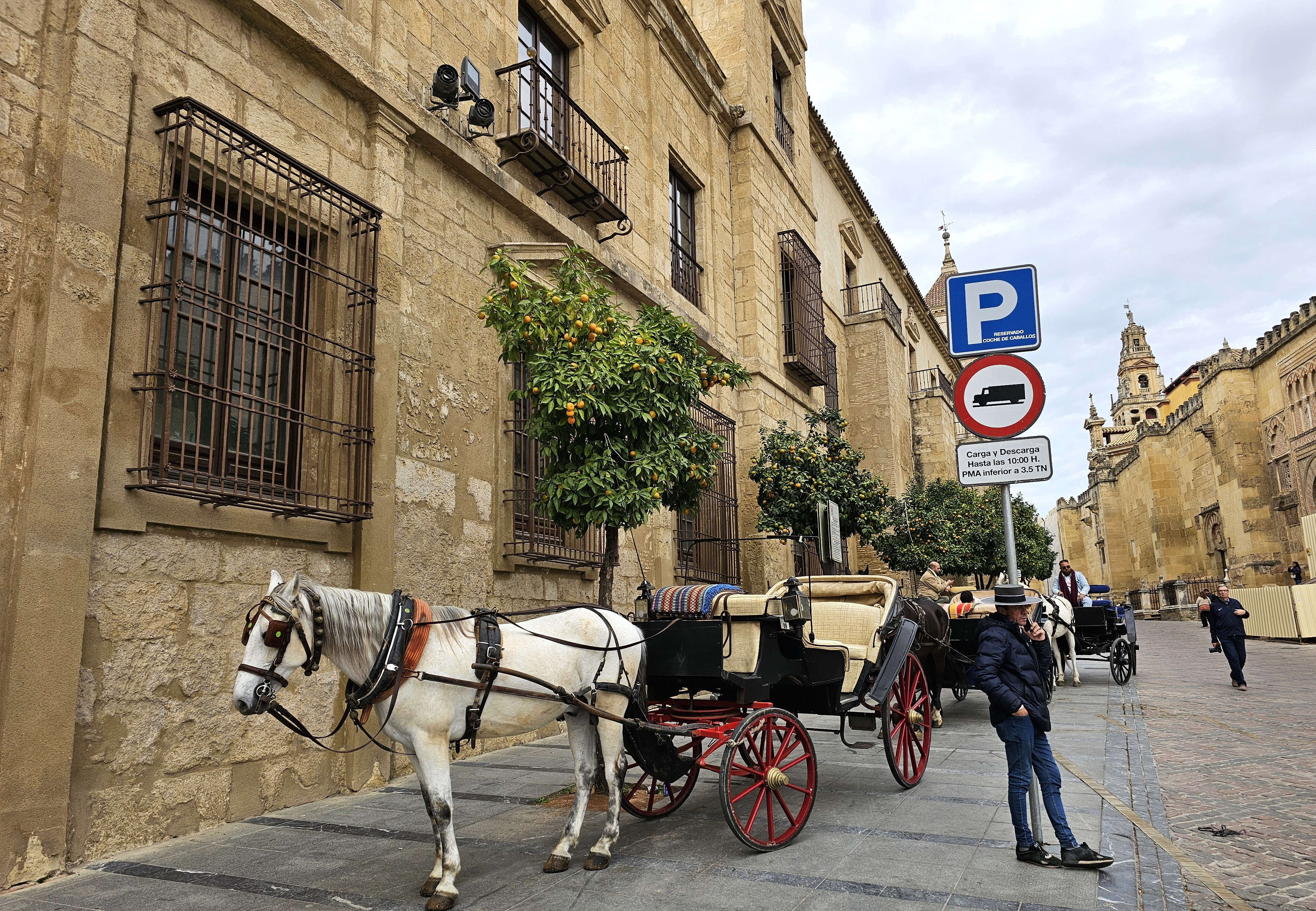 S_Spain